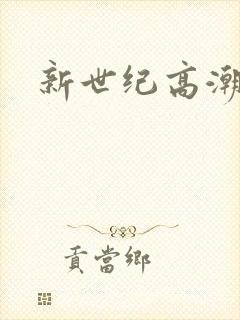 新世纪高潮战队