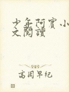 少年阿宾小说全文阅读