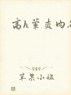 高h荤爽肉欲文
