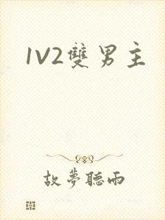 1V2双男主