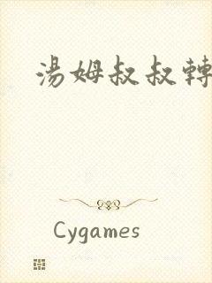 汤姆叔叔转接口