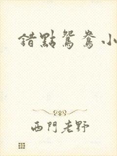 错点鸳鸯小说