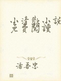 小清欢小说全文免费阅读