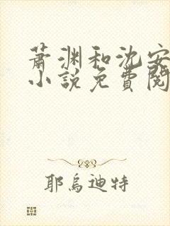 萧渊和沈安安的小说免费阅读