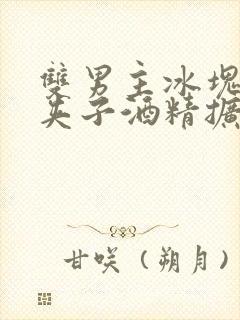 双男主冰块棉签夹子酒精扩张器