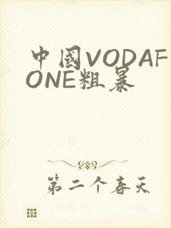 中国VODAFONE粗暴