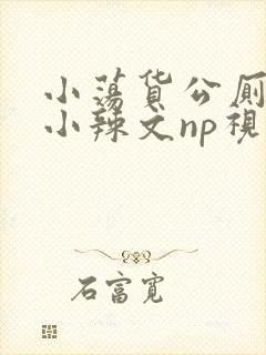 小荡货公厕h文小辣文np视频