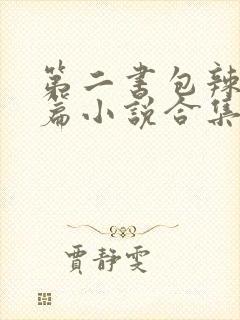 第二书包辣网短篇小说合集