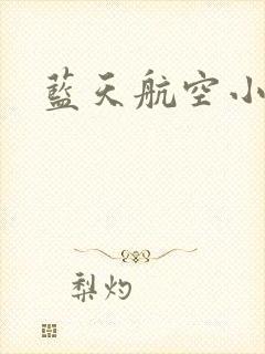蓝天航空小说