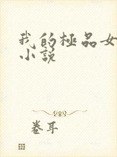 我的极品女老师小说