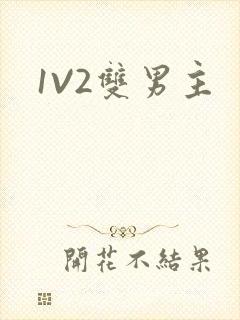 1V2双男主