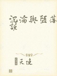 沉沦与堕落的小说