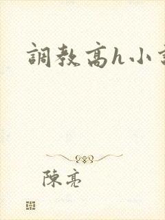 调教高h小说