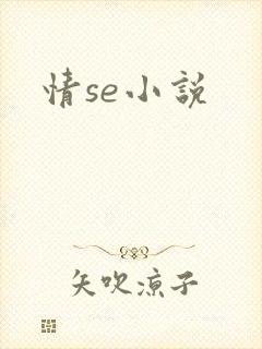 情se小说