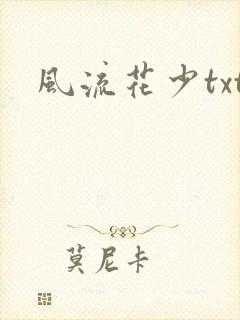 风流花少txt
