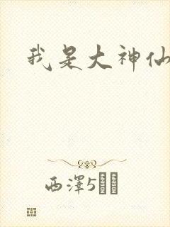 我是大神仙小说