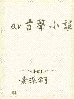 av有声小说