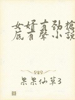 女婿有劲枪枪到底有声小说