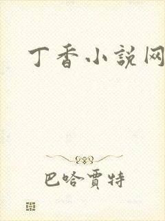 丁香小说网