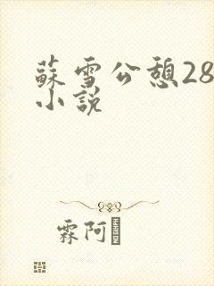苏雪公憩28篇小说