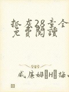 抓灰28章全部免费阅读