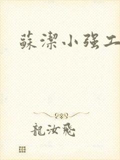 苏洁小强工地情封面