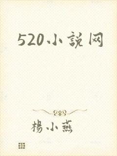 520小说网