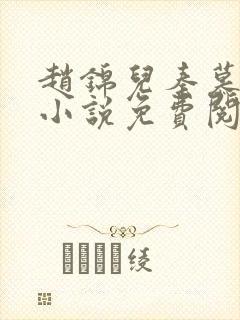 赵锦儿秦慕修的小说免费阅读全文