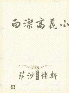 白洁高义小说