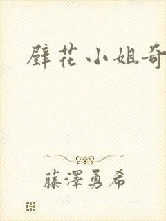 壁花小姐奇遇记