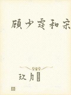 顾少霆和宋斯曼