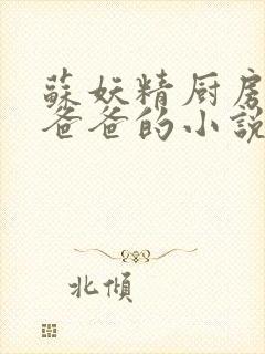 苏妖精厨房爹爹爸爸的小说