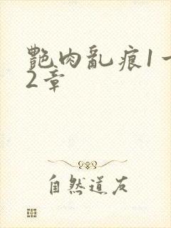 艳肉乱痕1一12章