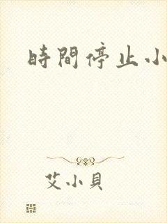 时间停止小说
