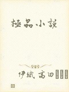 极品小说