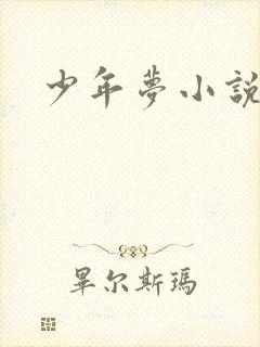 少年梦小说