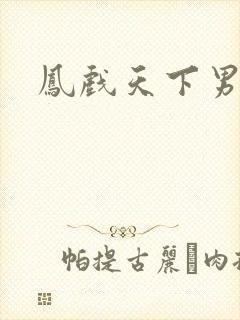 凤戏天下男