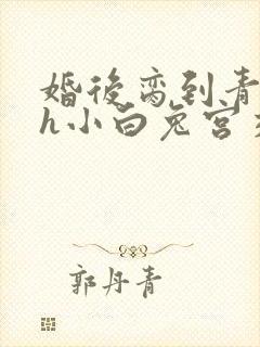 婚后脔到青梅哭h小白兔宫交h