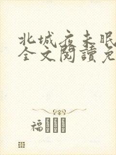 北城夜未眠小说全文阅读免费