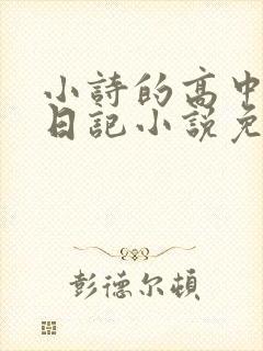 小诗的高中成长日记小说免费阅读