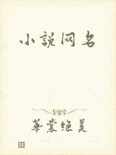 小说网名