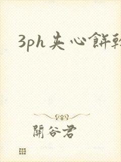 3ph夹心饼干封面