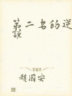 第二名的逆袭小说