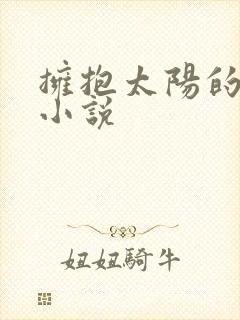 拥抱太阳的月亮小说