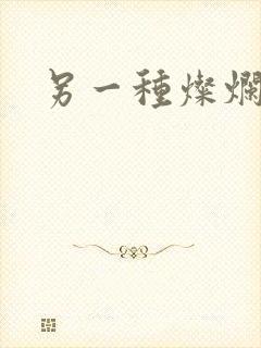 另一种灿烂生活