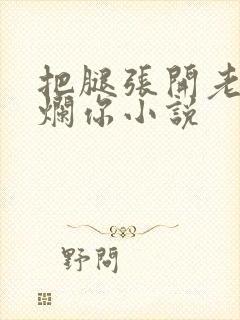 把腿张开老子臊烂你小说