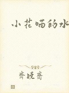 小花喵的水蜜桃