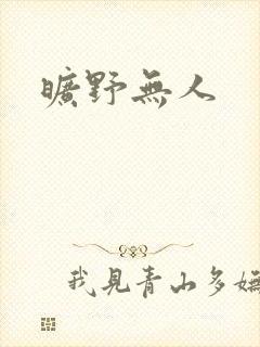 《旷野无人》小说封面