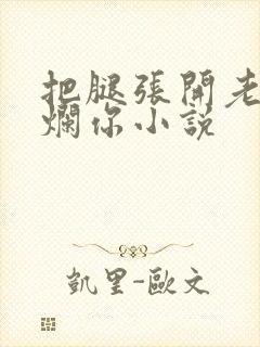 把腿张开老子臊烂你小说