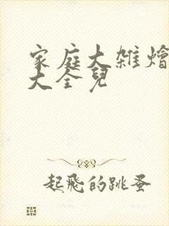 家庭大杂烩小说大全儿